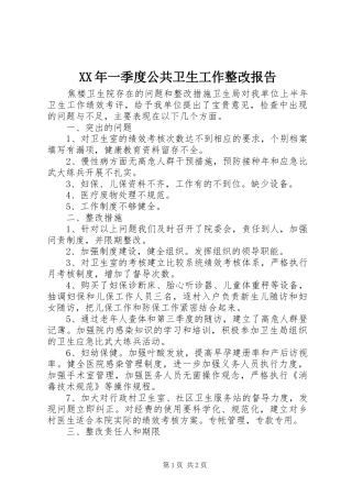 2024年一季度公共卫生工作整改报告