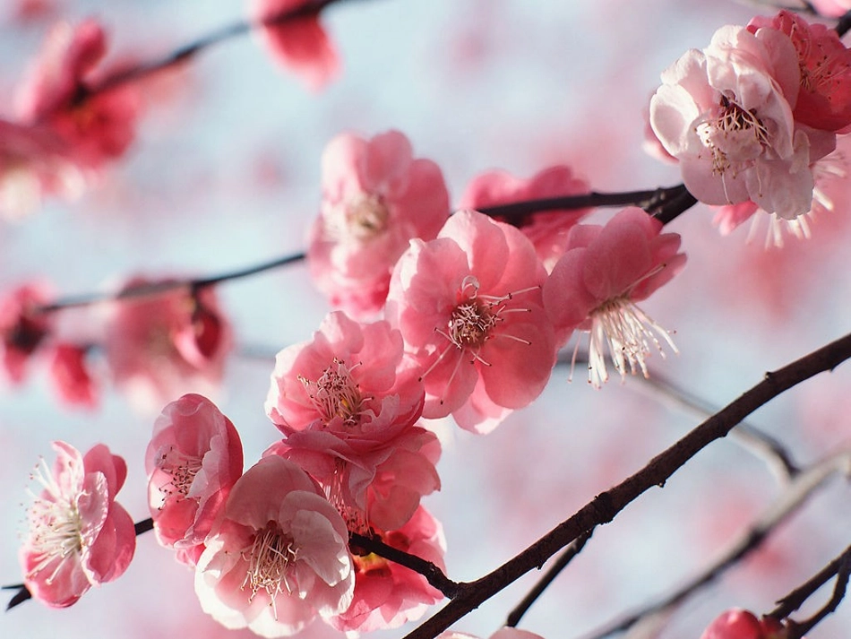 七年级英语下册 Unit 5 Our school life Topic 3 My school life is very interesting Section B2课件 （新版）仁爱版-（新版）仁爱级下册英语课件_第1页