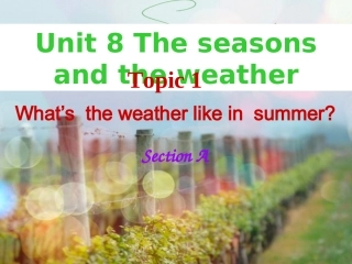 七年级英语下册 Unit 8 The seasons and the Weather Topic 1 How is the weather in winter Section A参考课件 （新版）仁爱版-（新版）仁爱级下册英语课件