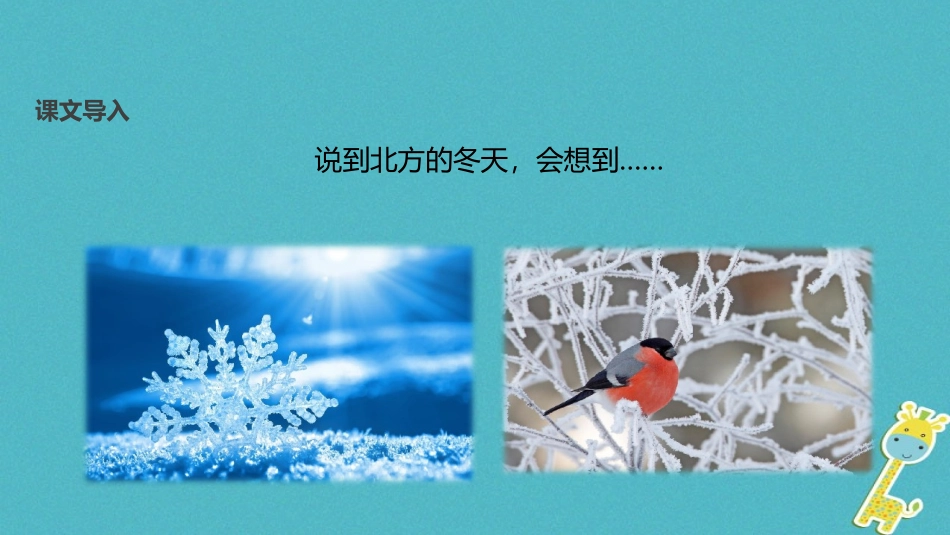 七年级语文上册 第四单元 16《济南的冬天》教学课件 苏教版-苏教级上册语文课件_第3页