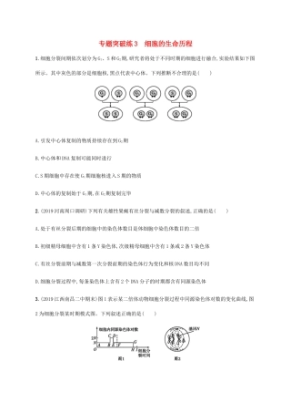 高考生物大二轮复习 专题突破练3 细胞的生命历程（含解析）-人教版高三生物试题