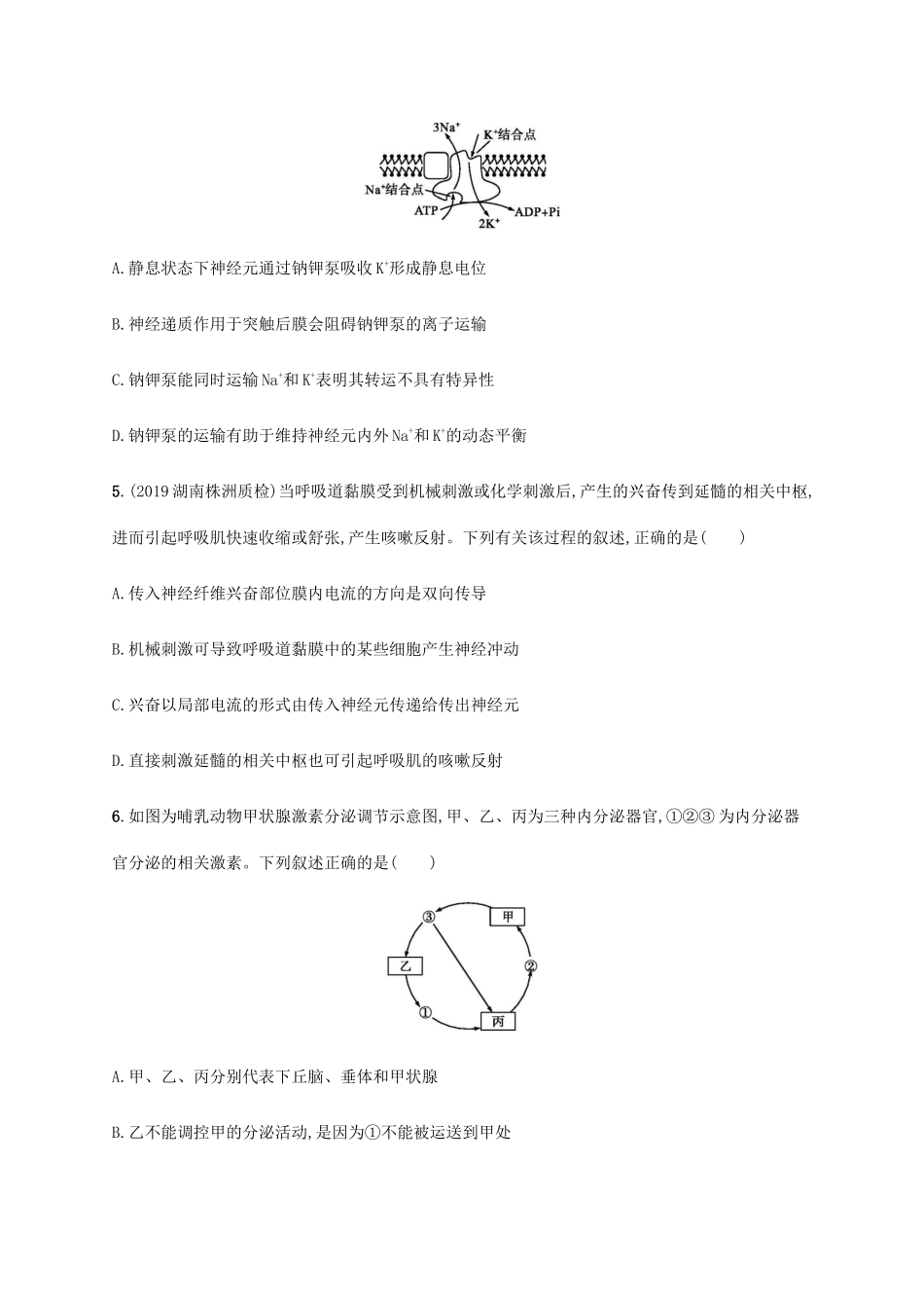 高考生物大二轮复习 专题突破练7 人和动物生命活动的调节（含解析）-人教版高三生物试题_第2页