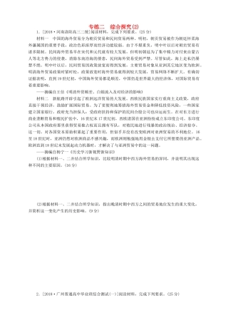 高考历史总复习 专题闯关导练 走进大题专练二 综合探究（2）人教版高三全册历史试题