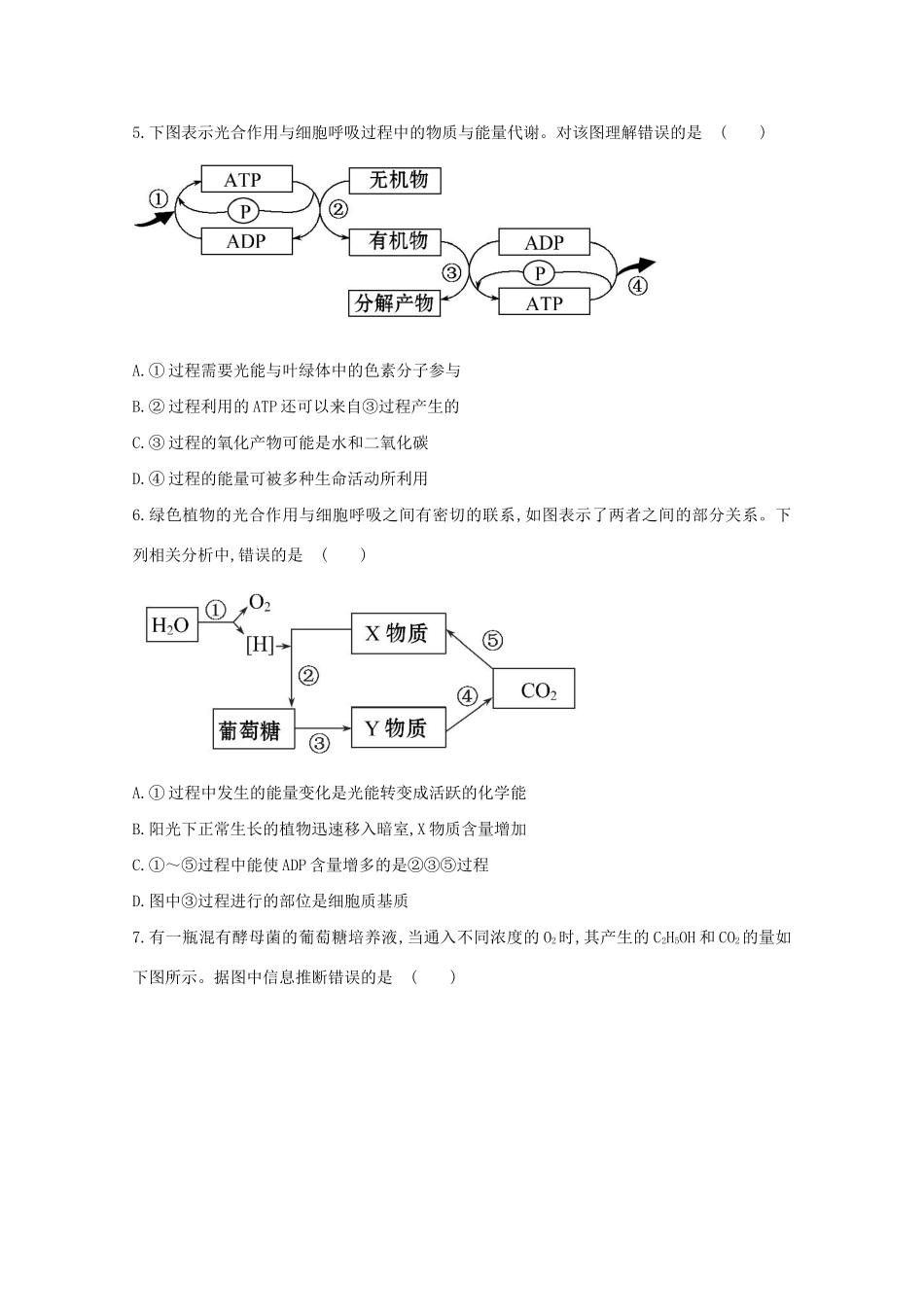 高考生物 专题辅导与训练二 第2讲光合作用和细胞呼吸_第2页