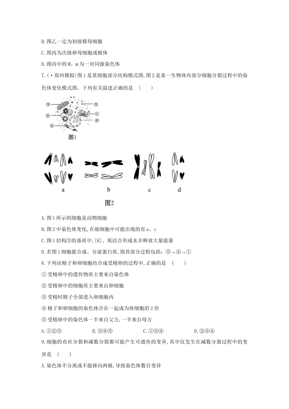 高考生物 专题辅导与训练三 第1讲细胞增殖和受精作用_第3页