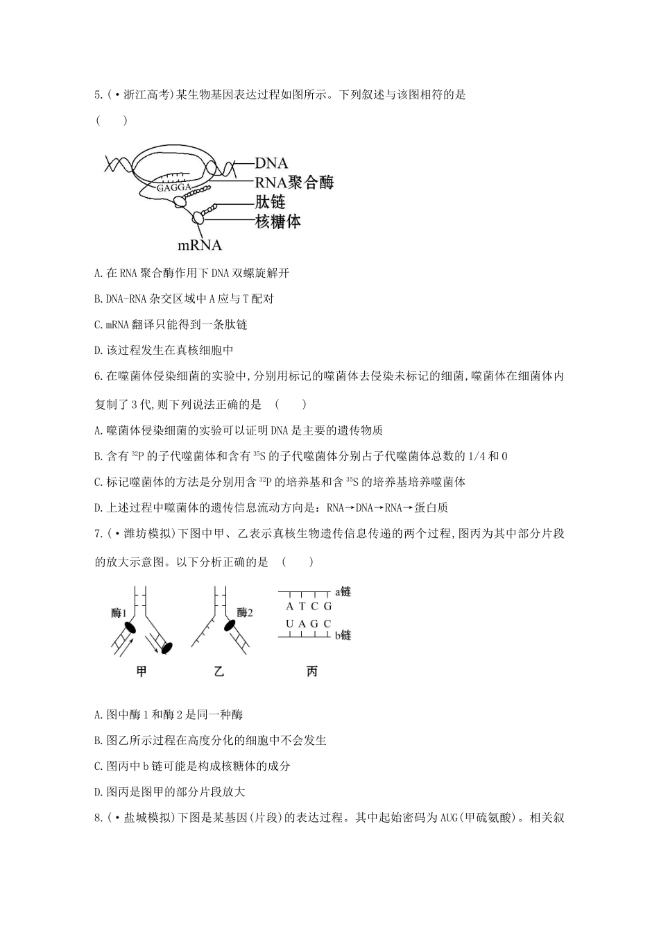 高考生物 专题辅导与训练四 第1讲遗传的物质基础_第2页