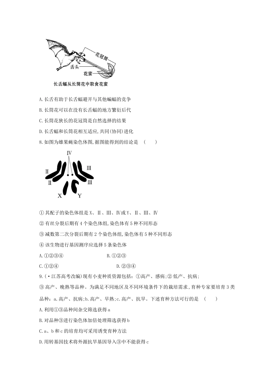 高考生物 专题辅导与训练四 第3讲变异、育种与进化_第3页