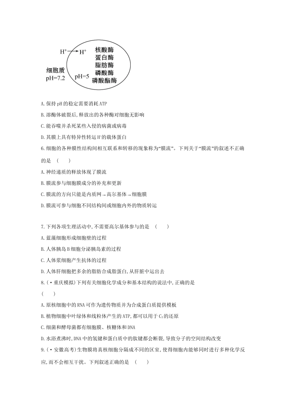 高考生物 专题辅导与训练一 细胞的物质与结构基础_第2页