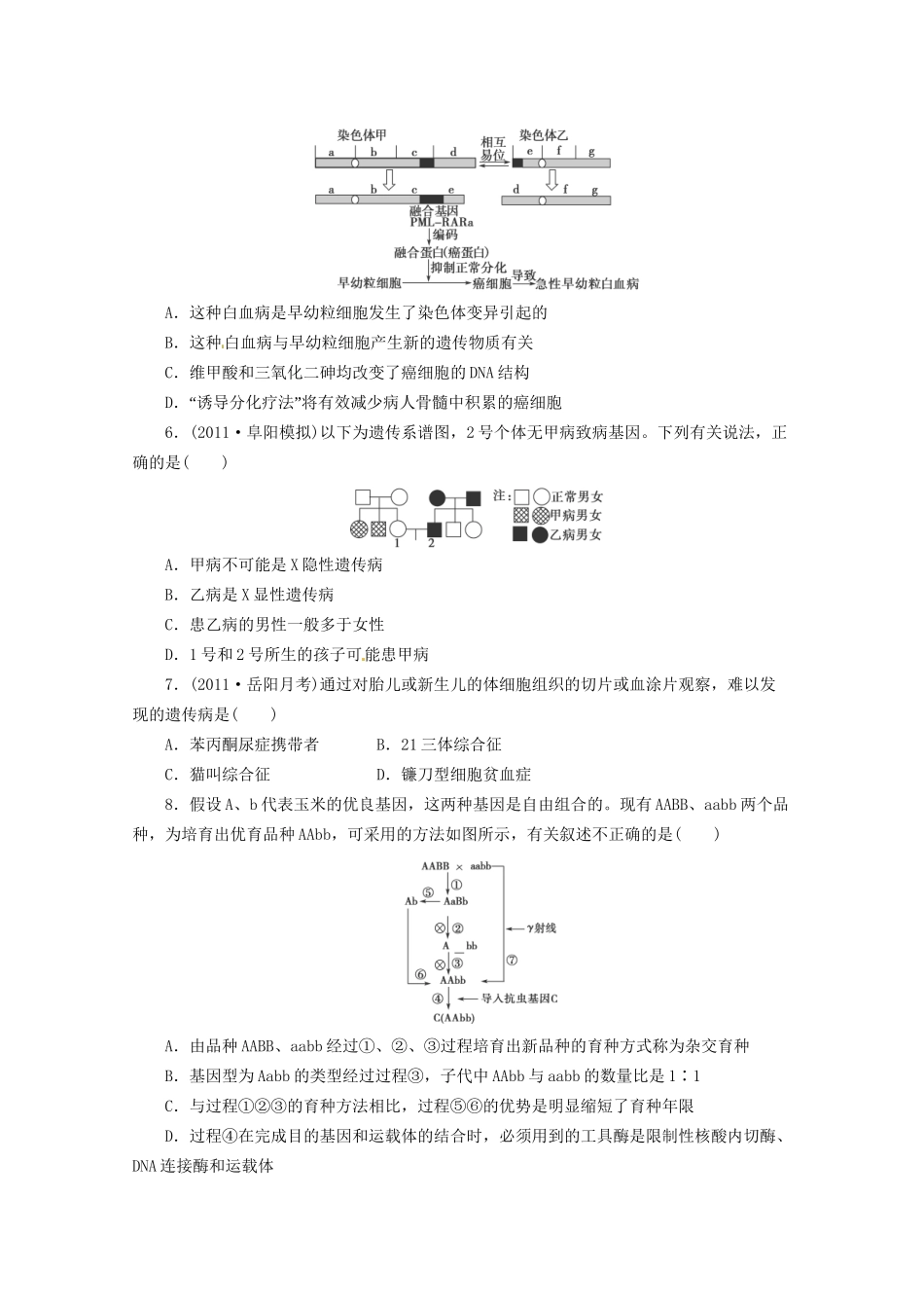 高三二轮复习 生物的变异和进化1测试题_第2页