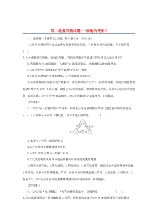 高三二轮复习 细胞的代谢3测试题