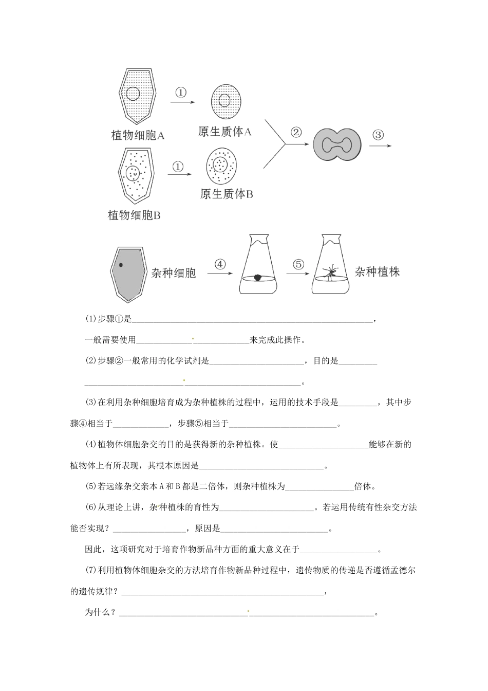 高三二轮复习 现代生物科技2测试题_第2页