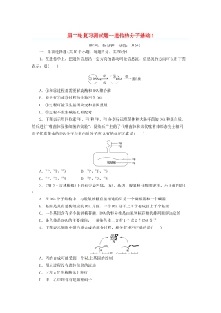 高三二轮复习 遗传的分子基础1测试题