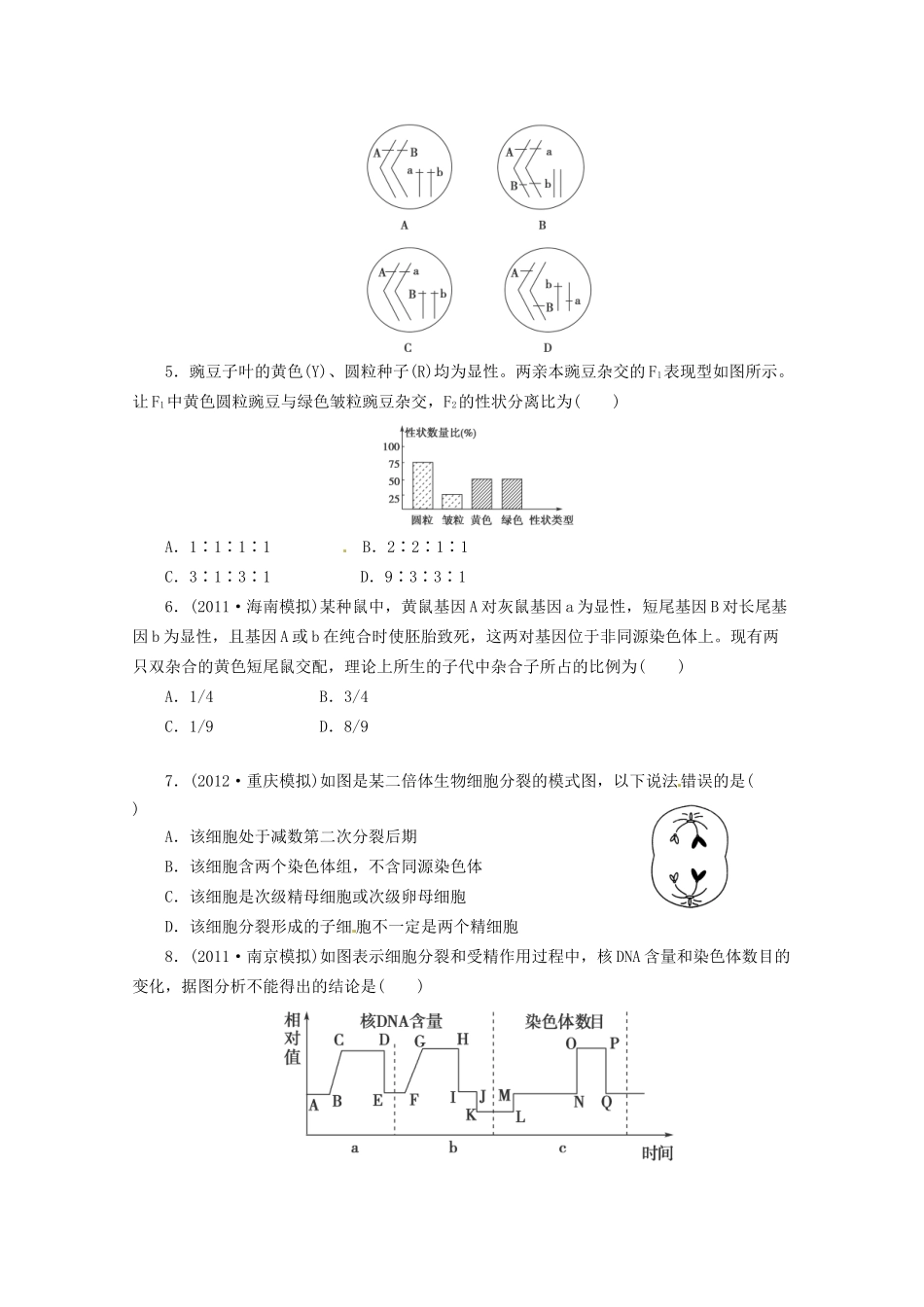 高三二轮复习 遗传的基本规律1测试题_第2页
