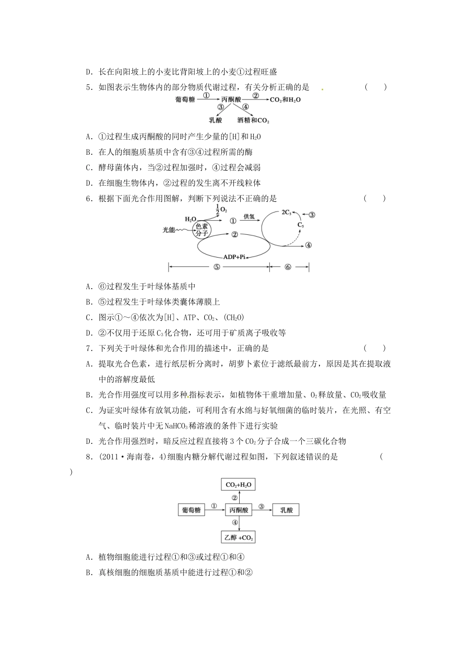 高三生物二轮测试题 酶、ATP、细胞呼吸、光合作用 新人教版必修1 _第2页