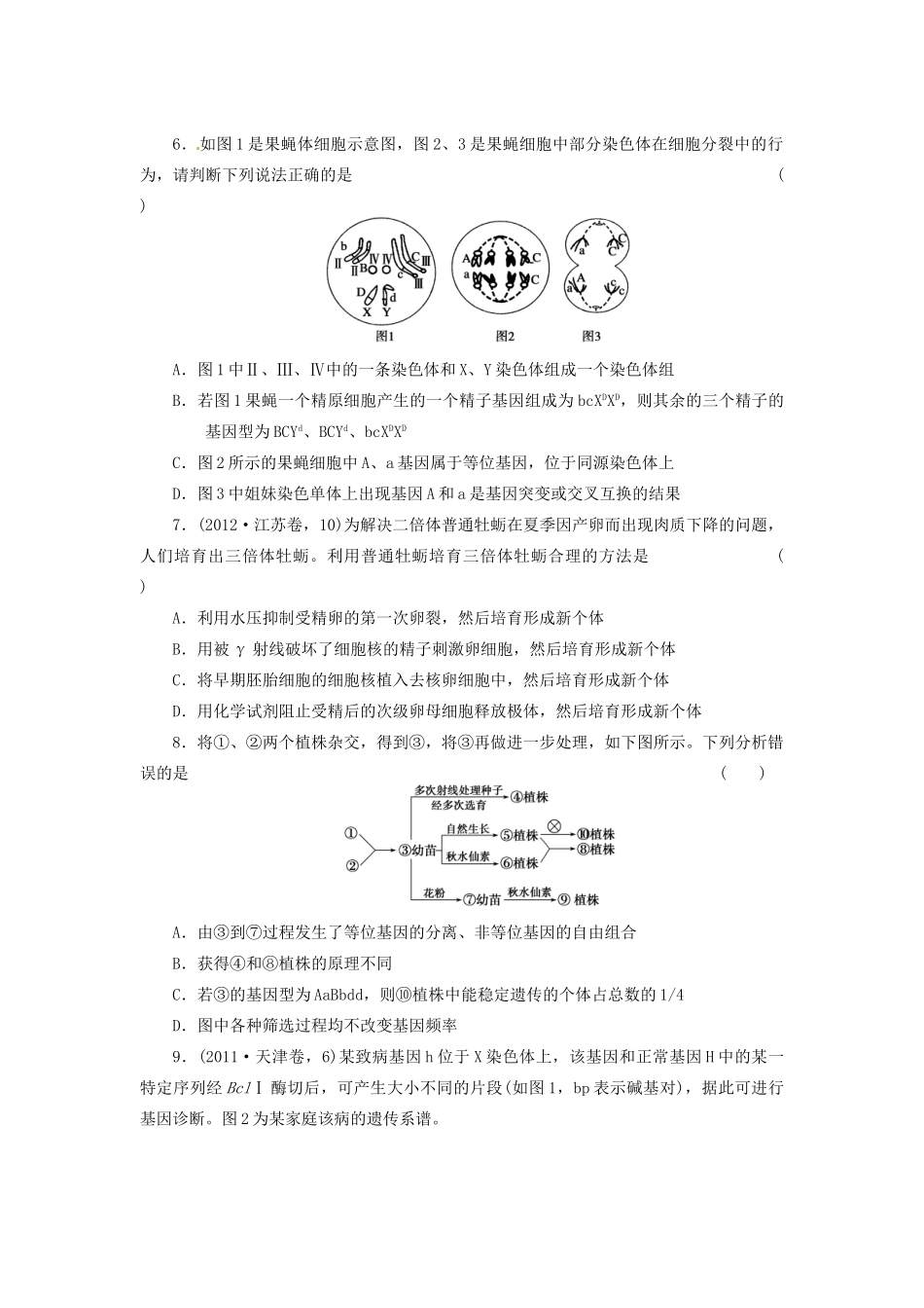 高三生物二轮测试题 遗传的分子基础、变异、进化 新人教版必修1 _第2页