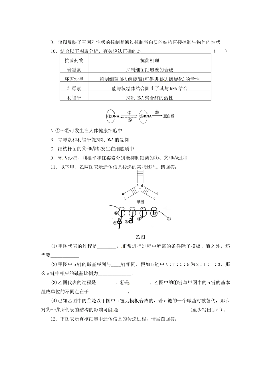 高三生物二轮测试题 遗传的物质基础 新人教版必修1 _第3页