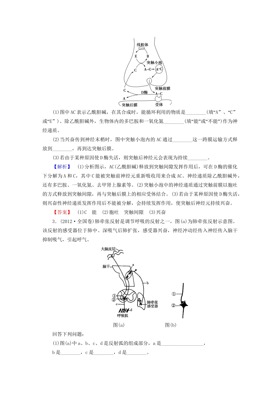 高考生物二轮复习 第1部分 板块3 调节 专题9 动物和人体生命活动的调节-人教版高三生物试题_第3页