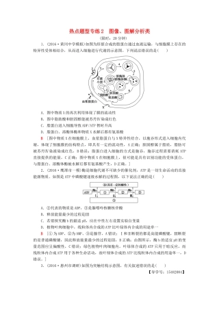 高考生物二轮复习 热点题型专练2 图像、图解分析类-人教版高三生物试题