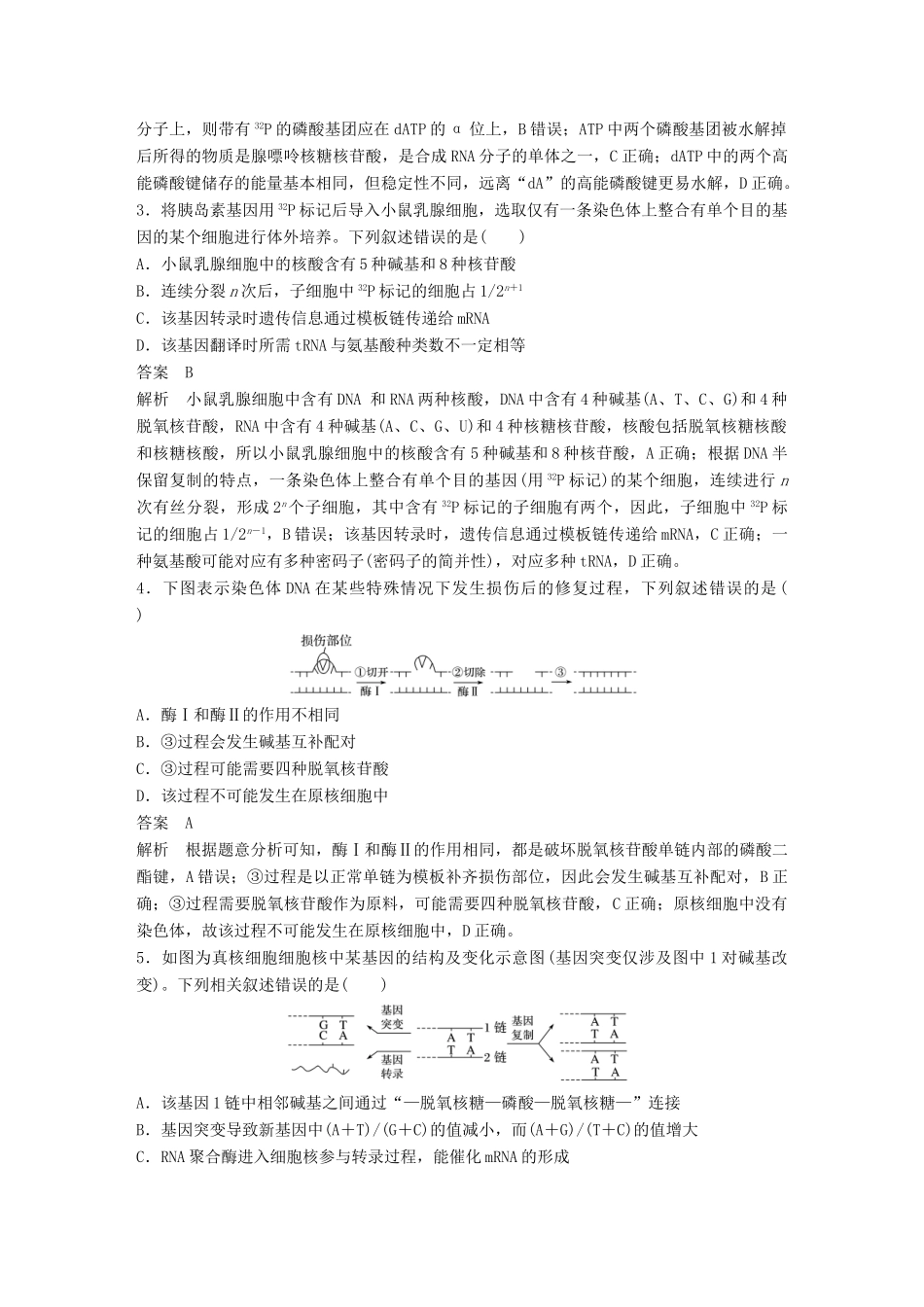 高考生物二轮复习 专题四 遗传的分子基础专题突破练-人教版高三生物试题_第2页