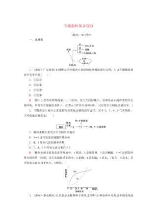 高考生物二轮复习 专题限时集训4 第1部分 板块1 专题4 光合作用和细胞呼吸-人教版高三生物试题