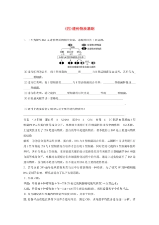 高考生物三轮冲刺 抢分专项练 专项二 简答题规范审答练（四）遗传物质基础（含解析）-人教版高三生物试题