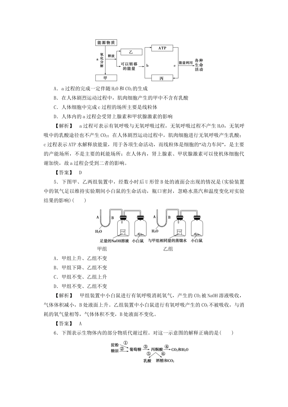高考生物一轮复习 分层限时跟踪练9 细胞呼吸-人教版高三全册生物试题_第2页
