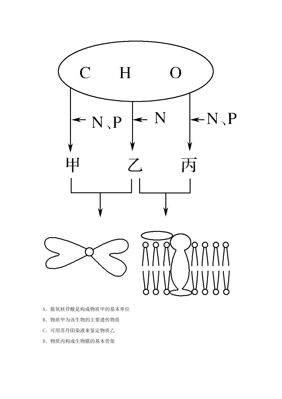高考生物三轮冲刺 优选练题（5）-人教版高三生物试题_第2页