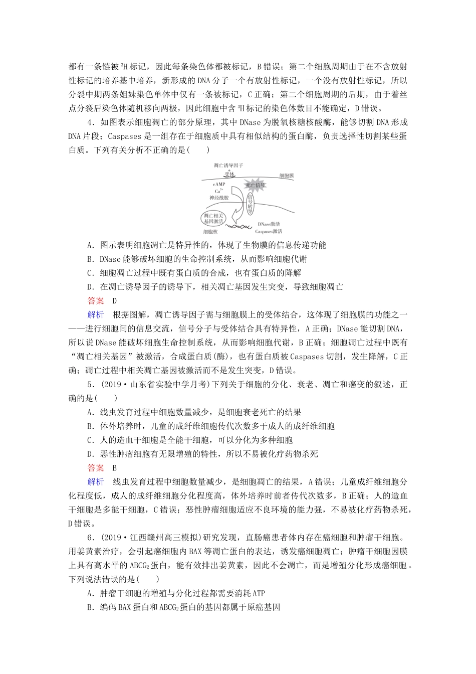 高考生物一轮复习 第二编 必考专项 热点4 细胞的生命历程（含减数分裂）练习（含解析）-人教版高三生物试题_第2页