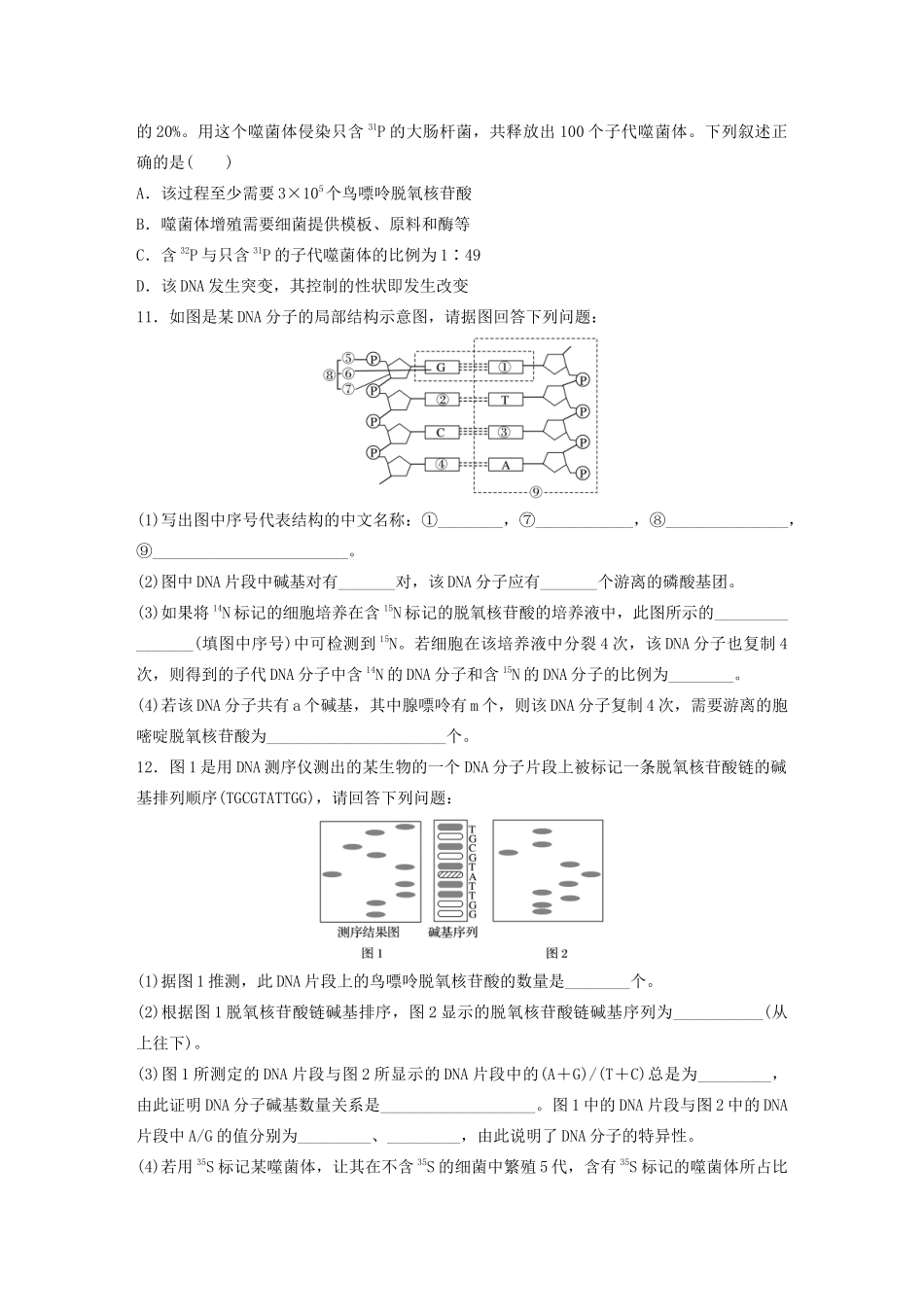 高考生物一轮复习 第六单元 难点突破练45 突破DNA的结构及复制的相关计算（含解析）-人教版高三生物试题_第3页