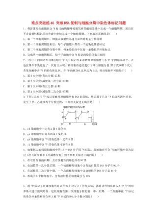 高考生物一轮复习 第六单元 难点突破练46 突破DNA复制与细胞分裂中染色体标记问题（含解析）-人教版高三生物试题