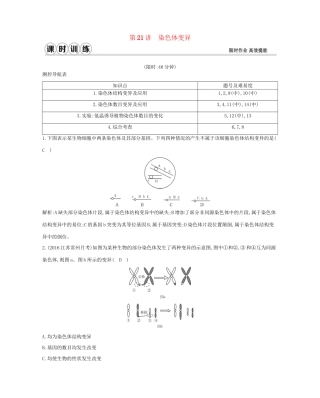 高考生物一轮复习 第七单元 生物的变异、育种和进化 第21讲 染色体变异-人教版高三生物试题