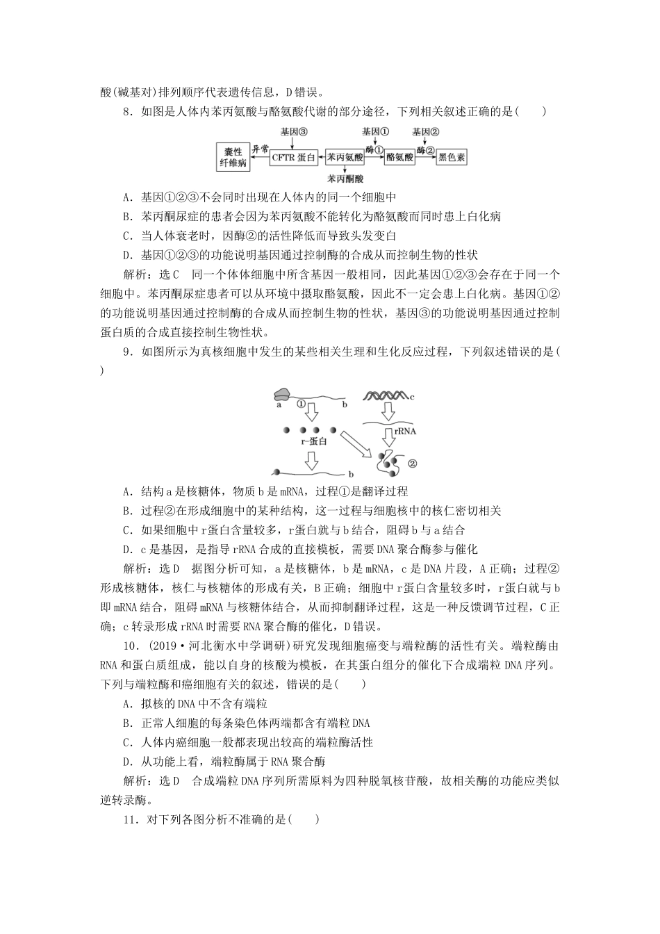 高考生物一轮复习 课时跟踪检测（二十二）基因的表达（含解析）-人教版高三生物试题_第3页