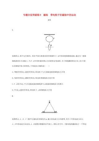 高考物理二轮复习 专题分层突破练9 磁场 带电粒子在磁场中的运动（含解析）-人教版高三全册物理试题