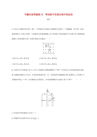高考物理二轮复习 专题分层突破练10 带电粒子在复合场中的运动（含解析）-人教版高三全册物理试题