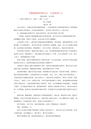 高考语文大一轮复习 专题提能限时练（九）小说阅读（三）-人教版高三全册语文试题