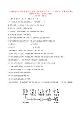 高考生物总复习 课时提升作业（二十）第4章 第4节基因突变和基因重组 苏教版必修2