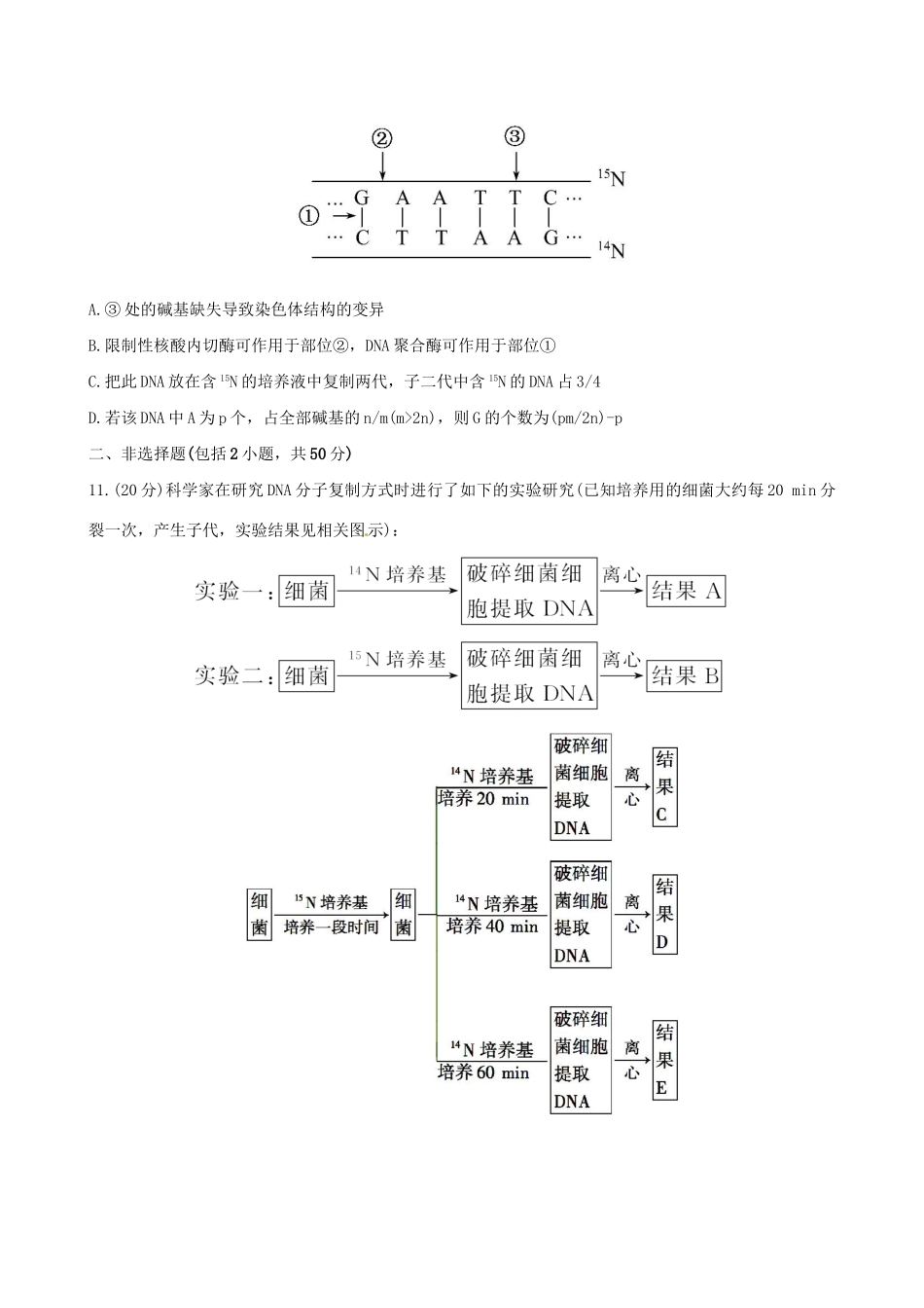 高考生物总复习 课时提升作业（十八）第4章 第2节DNA的结构和DNA的复制 苏教版必修2_第3页