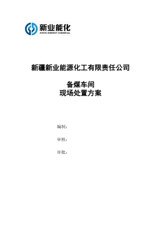 备煤车间现场处置方案