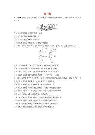高考生物一轮复习 加练半小时 第二单元 第10练（含解析）-人教高三全册生物试题