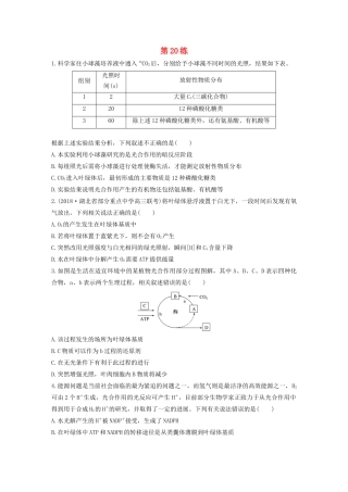 高考生物一轮复习 加练半小时 第三单元 第20练（含解析）-人教高三全册生物试题