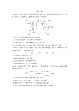 高考生物一轮复习 加练半小时 第三单元 第21练（含解析）-人教高三全册生物试题