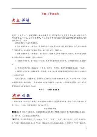 备战高考语文考点一遍过专题11扩展语句(含解析)