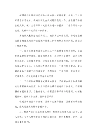 城管局作风整顿整改工作方案.docx