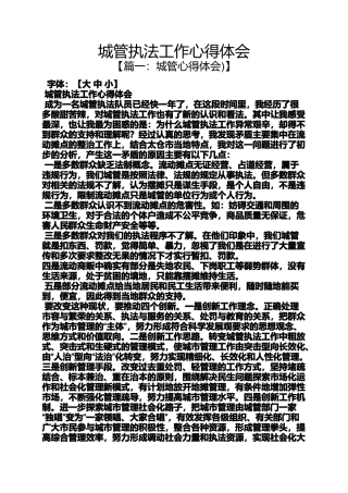 城管执法工作心得体会