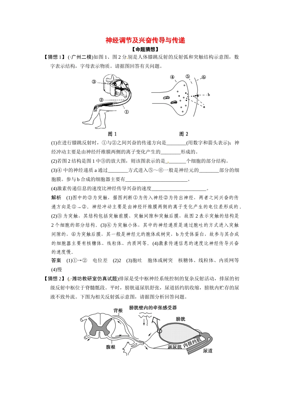 高考生物三轮高频考点 神经调节及兴奋传导与传递考前猜题通关演练_第1页