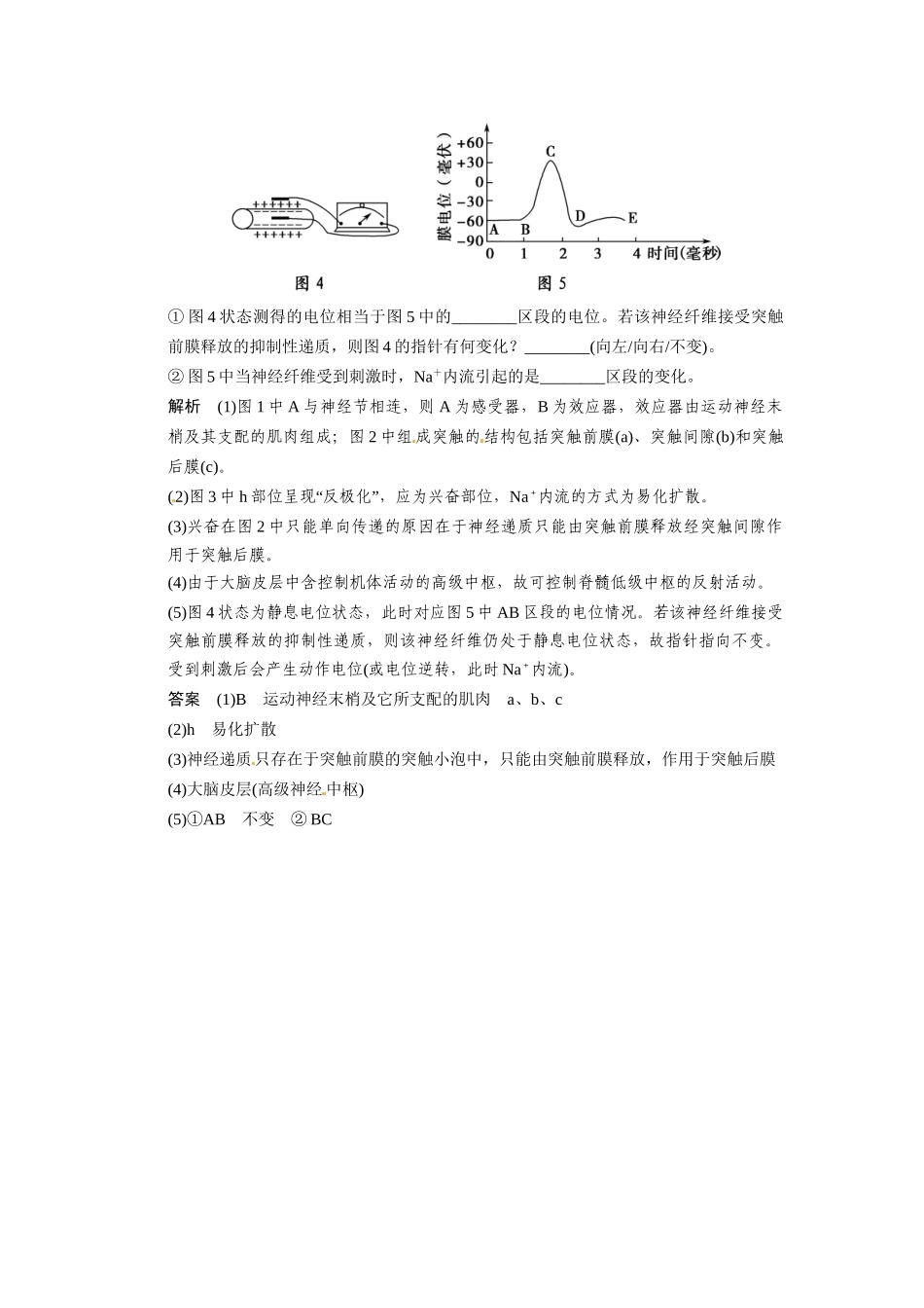 高考生物三轮高频考点 神经调节及兴奋传导与传递考前猜题通关演练_第3页