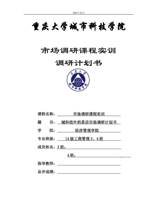 城科校外奶茶店市场调研计划书