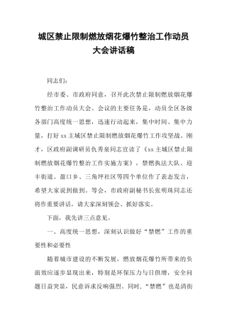 城区禁止限制燃放烟花爆竹整治工作动员大会讲话稿