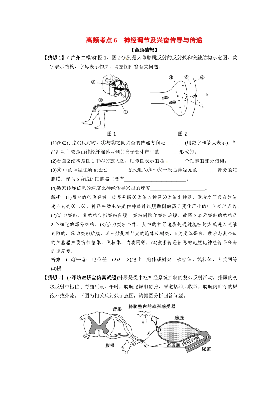 高三生物三轮冲刺备战 神经调节及兴奋传导与传递_第1页