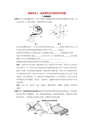 高三生物三轮冲刺备战 神经调节及兴奋传导与传递